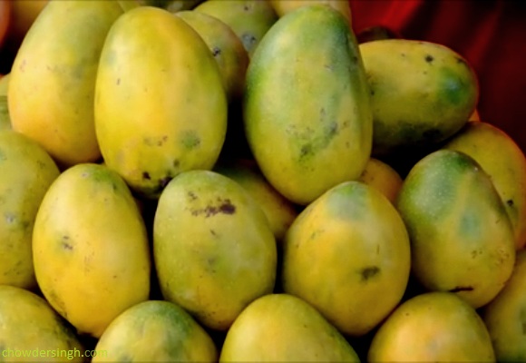 Himmayat Pasand - mangoes of andhra and telangana